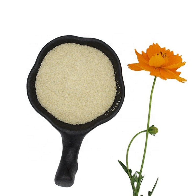 Brand new gelatine bovine gelatin powder with ISO HACCP HALAL 120-300 bloom
